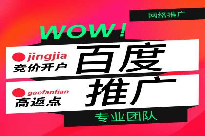 百度推广平台在旅游行业的应用案例